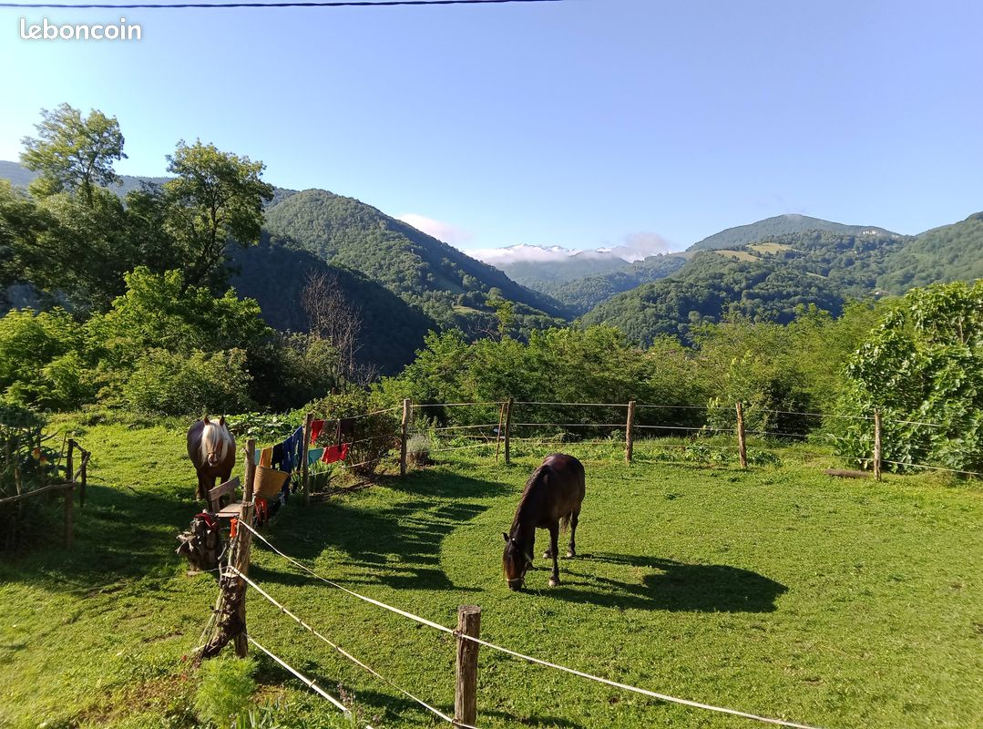 Location chambres dans gîte (équestre) (image 2)