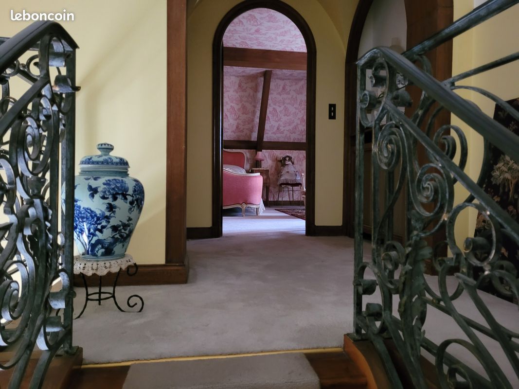 Propriété 11 pièces 440 m² - Turenne 19500 (image principale 5)