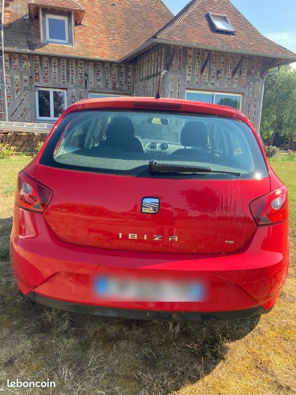 Seat ibiza (image 2)