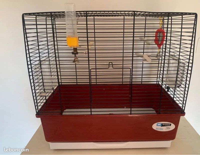 Cage oiseaux (image 1)