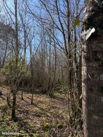 Terrain 2800 m² Châteauneuf