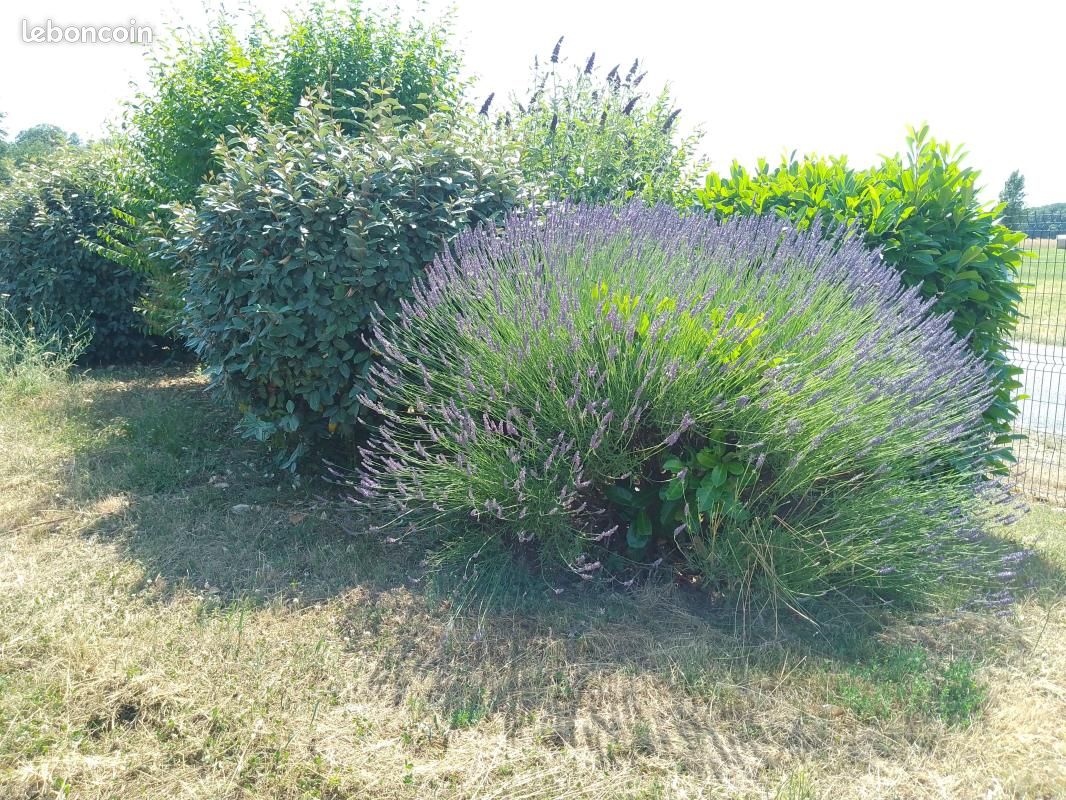Parking 28 m² · à Monnaie · 28 m² · 31 500 €