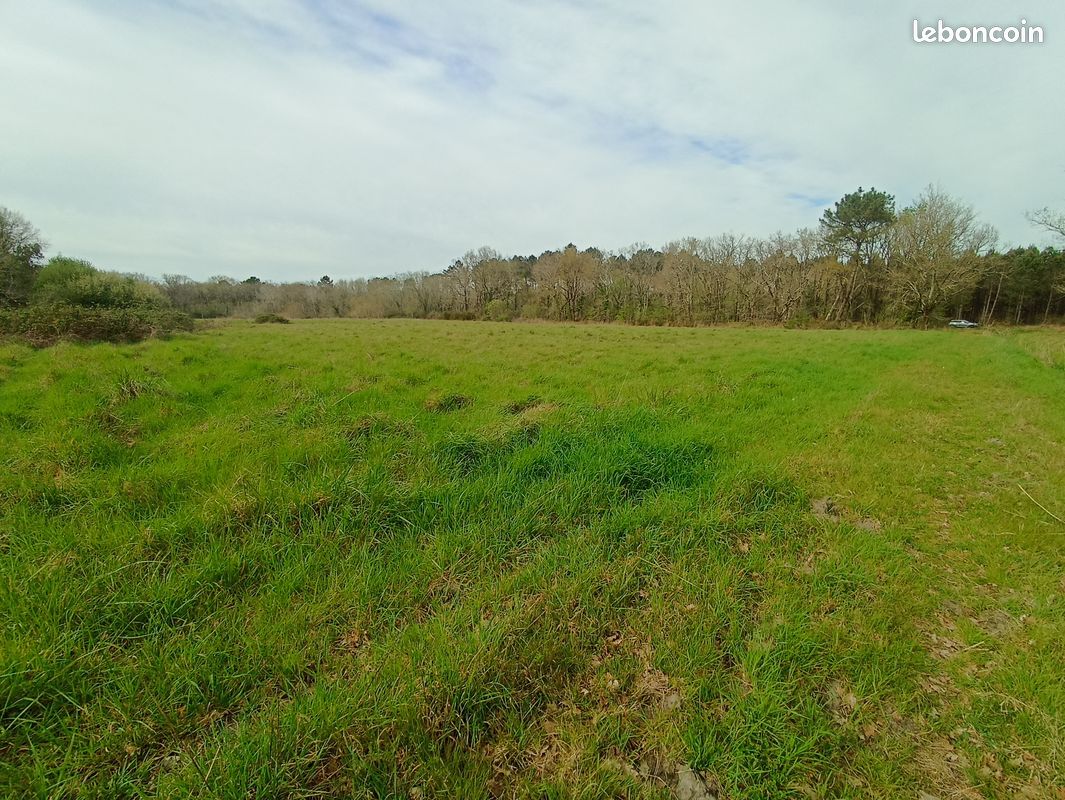 Terrain agricole · à Saugon · 75 000 €