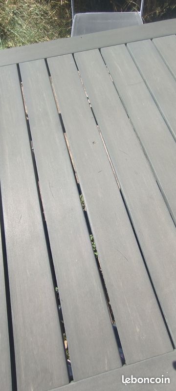 Table de jardin (image 2)