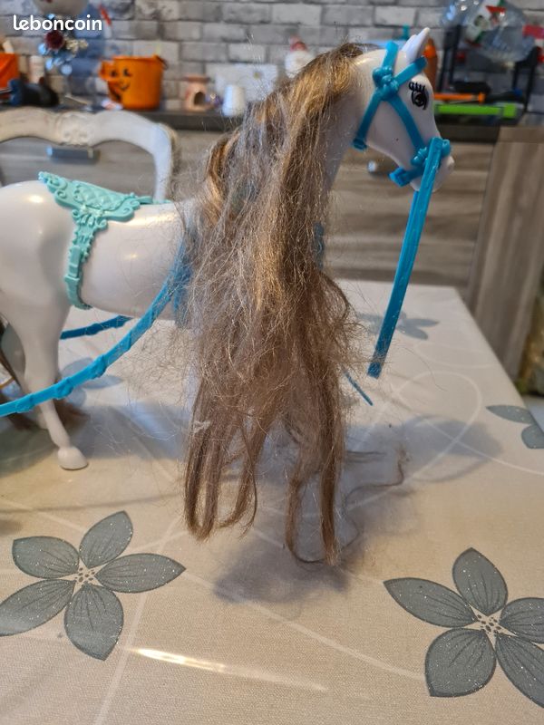 Carrosse et cheval (image 2)