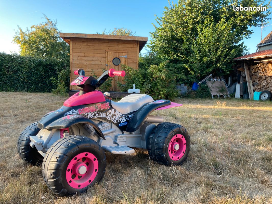 Quad peg perego 12v (image 1)