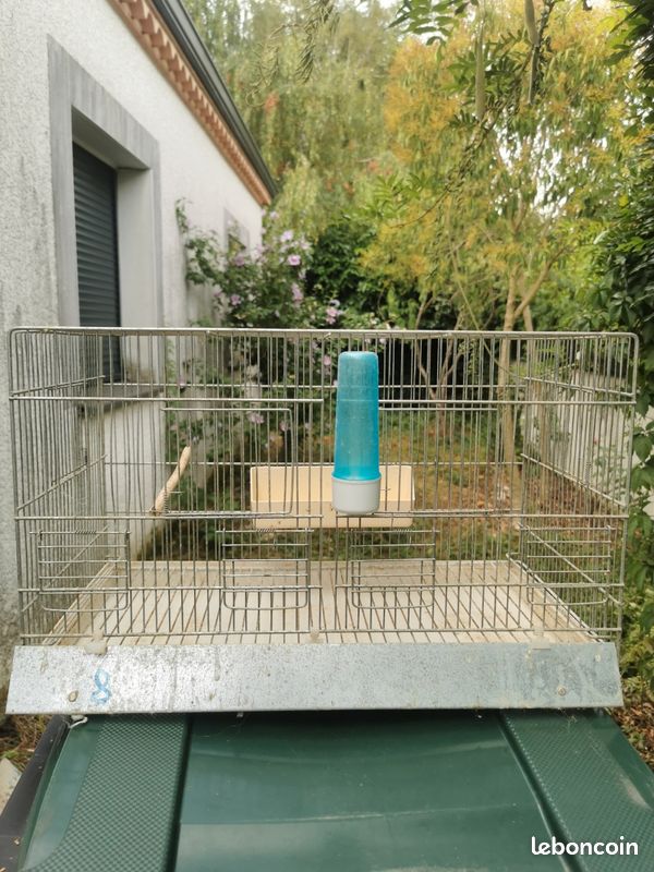 Cage de repro canari (image 2)