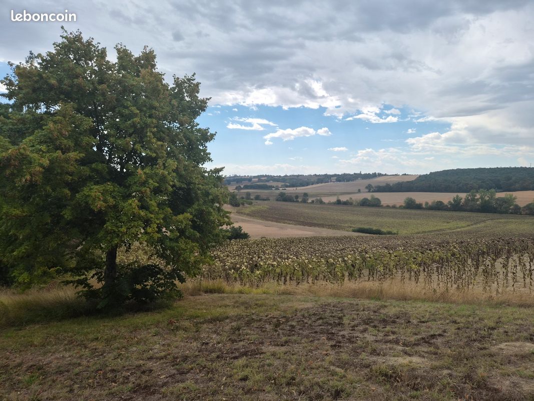 Terrain a vendre - dremil-lafage · à Drémil-Lafage · 160 000 €