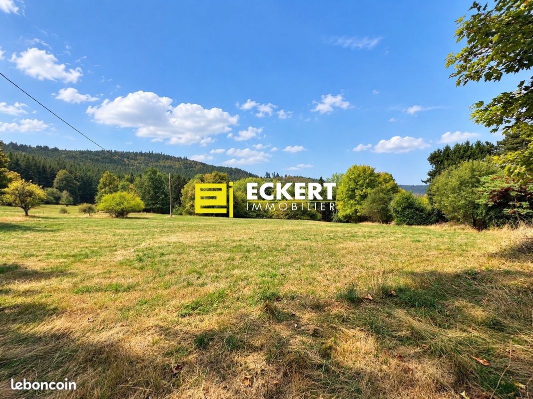 Terrain 2000 m² · à Grendelbruch · 2 000 m² · 237 540 €