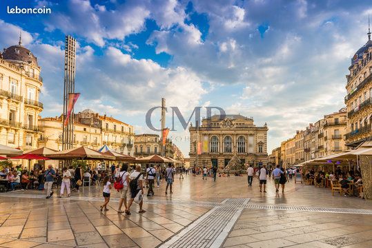 Parking/box Montpellier · 65 €/mois