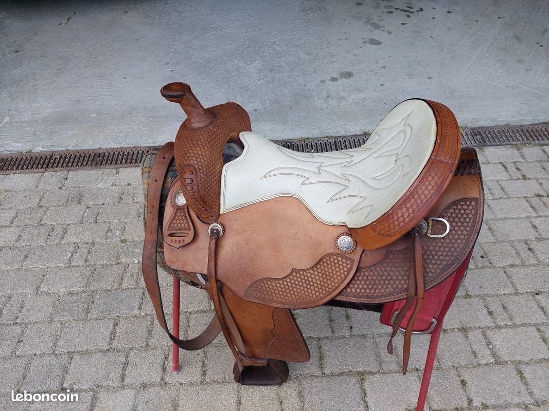 Lot D'équipement D'équitation Anglais D'occasion -多种 Articles, Brides, Etc.