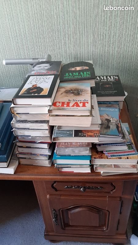 Lot de livres roman (image 1)