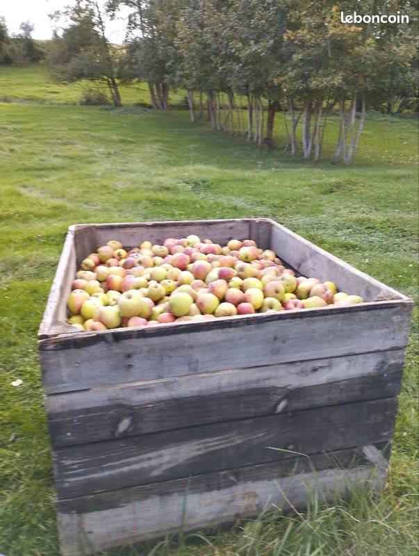 Jus de pommes bio (image 2)
