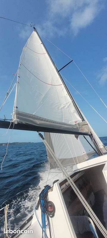 Voilier kelt 760 (image 3)