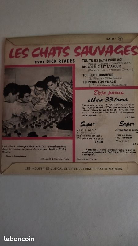 3 disques 45,tour les Chats Sauvages (image 2)