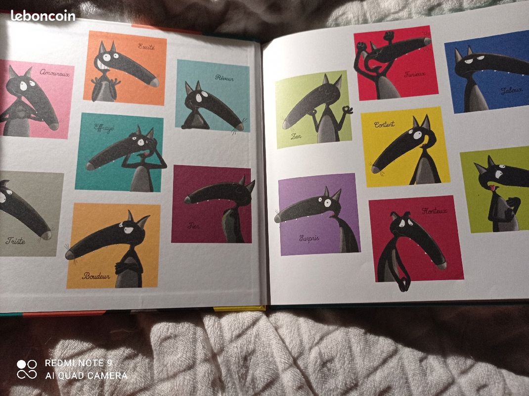 Livre loup rigolo (image 4)