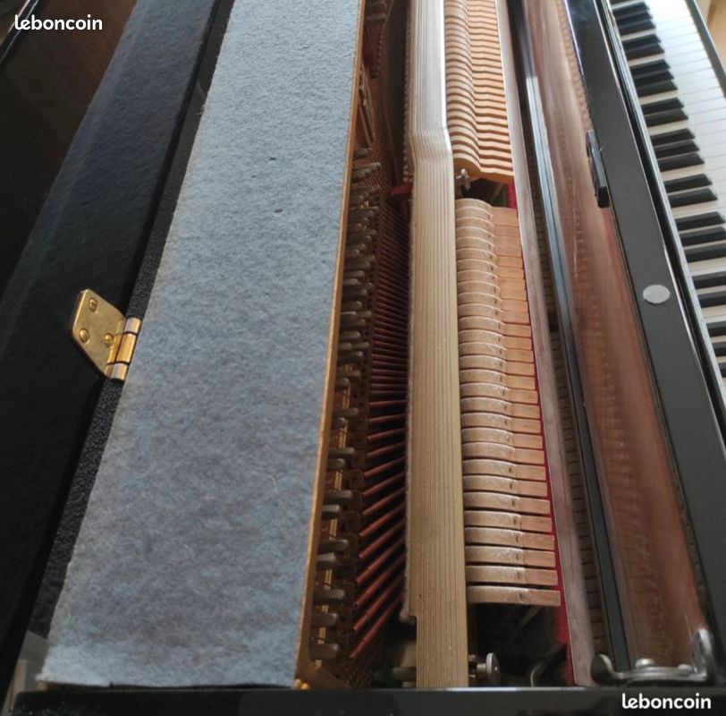 Piano Petro P115 (image 3)