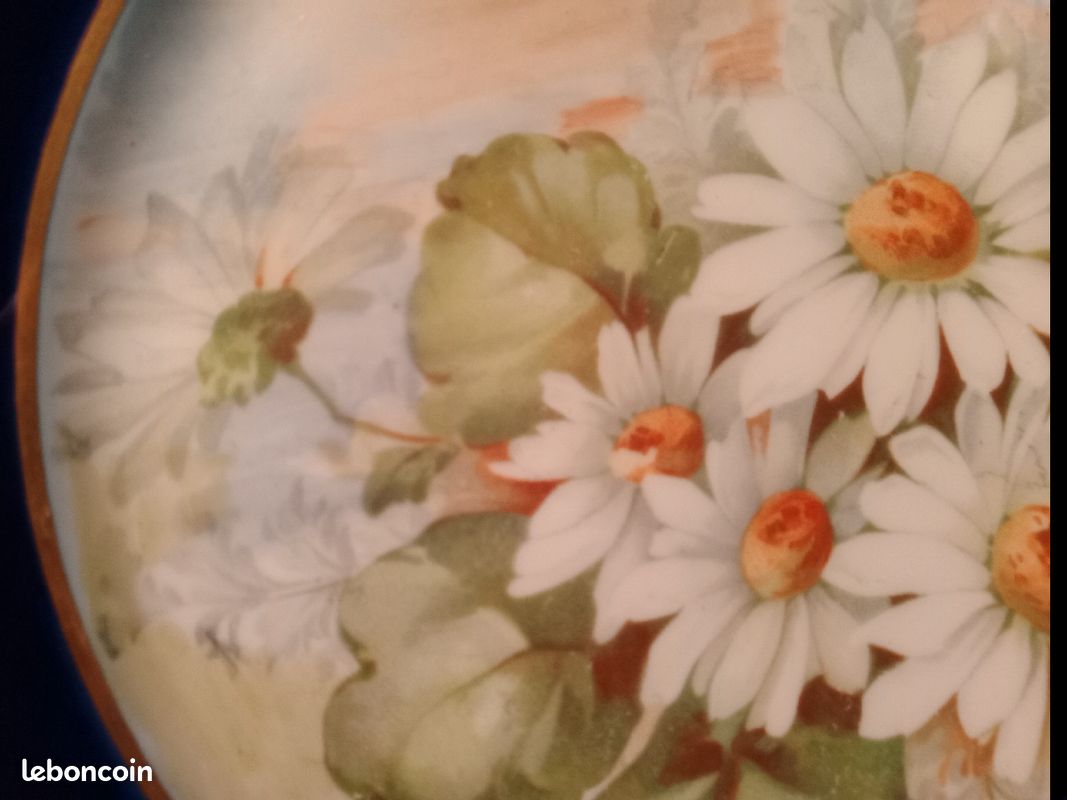 Superbes assiettes fleurie Limoges (image 14)