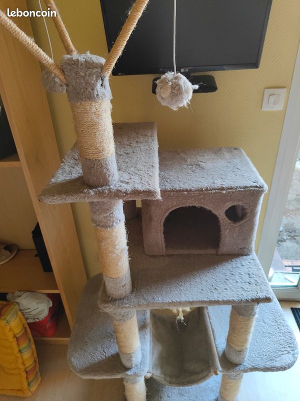 Arbre à chat (image 3)