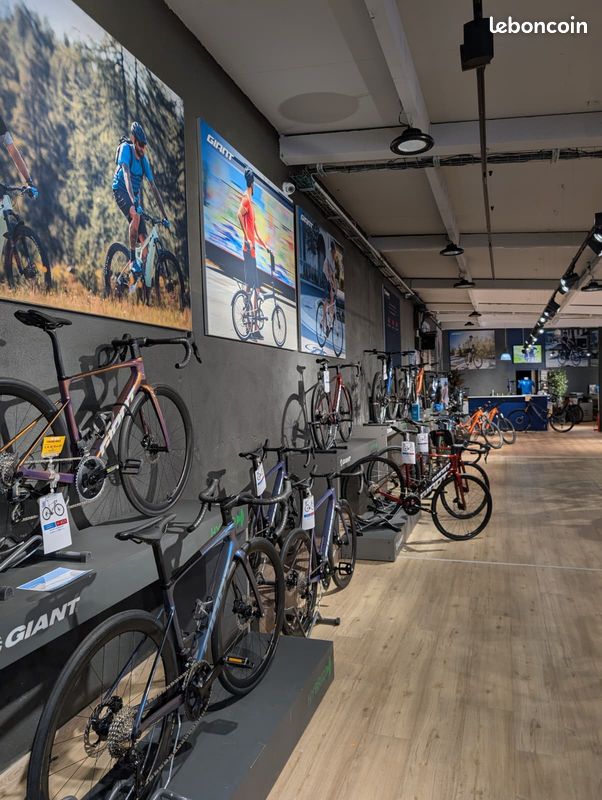 🔥 Giant Defy Advanced 0 Full Carbone (image 4)