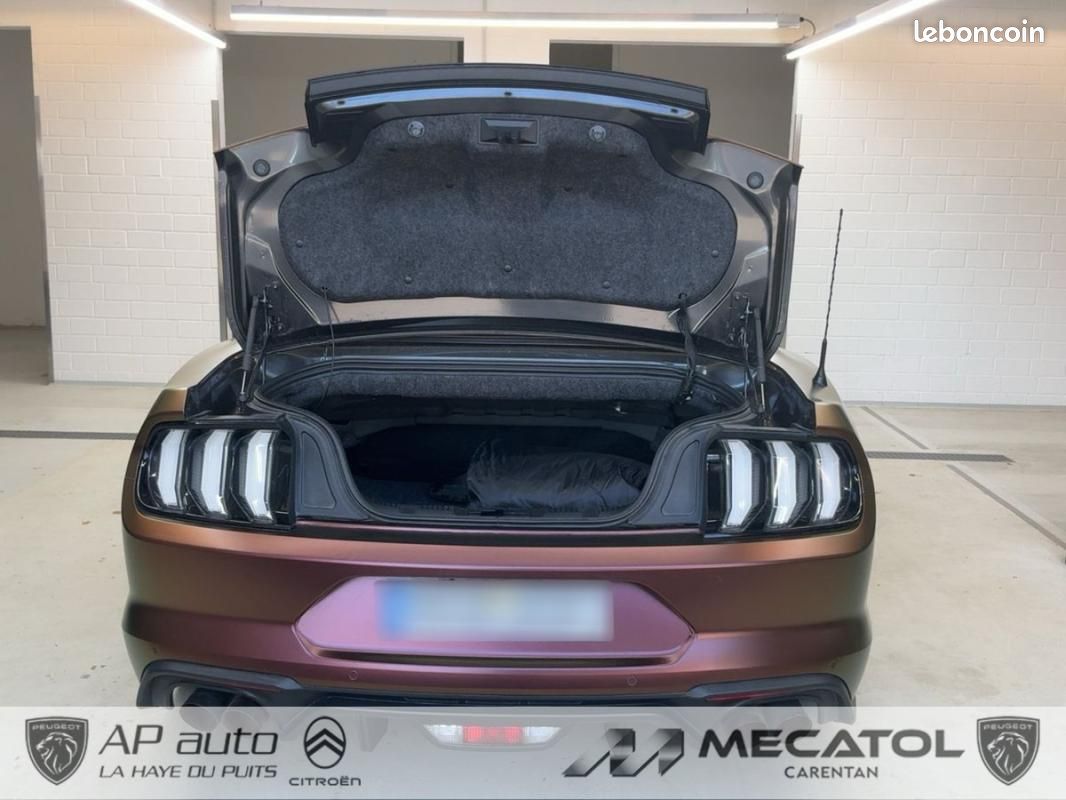 Ford Mustang (6) 5.0 Ti-VCT V8 Convertible GT (image 14)