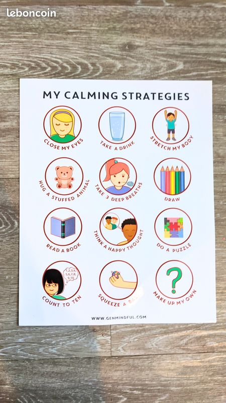 Lot de 2 posters éducatifs – Les émotions en anglais (image 2)