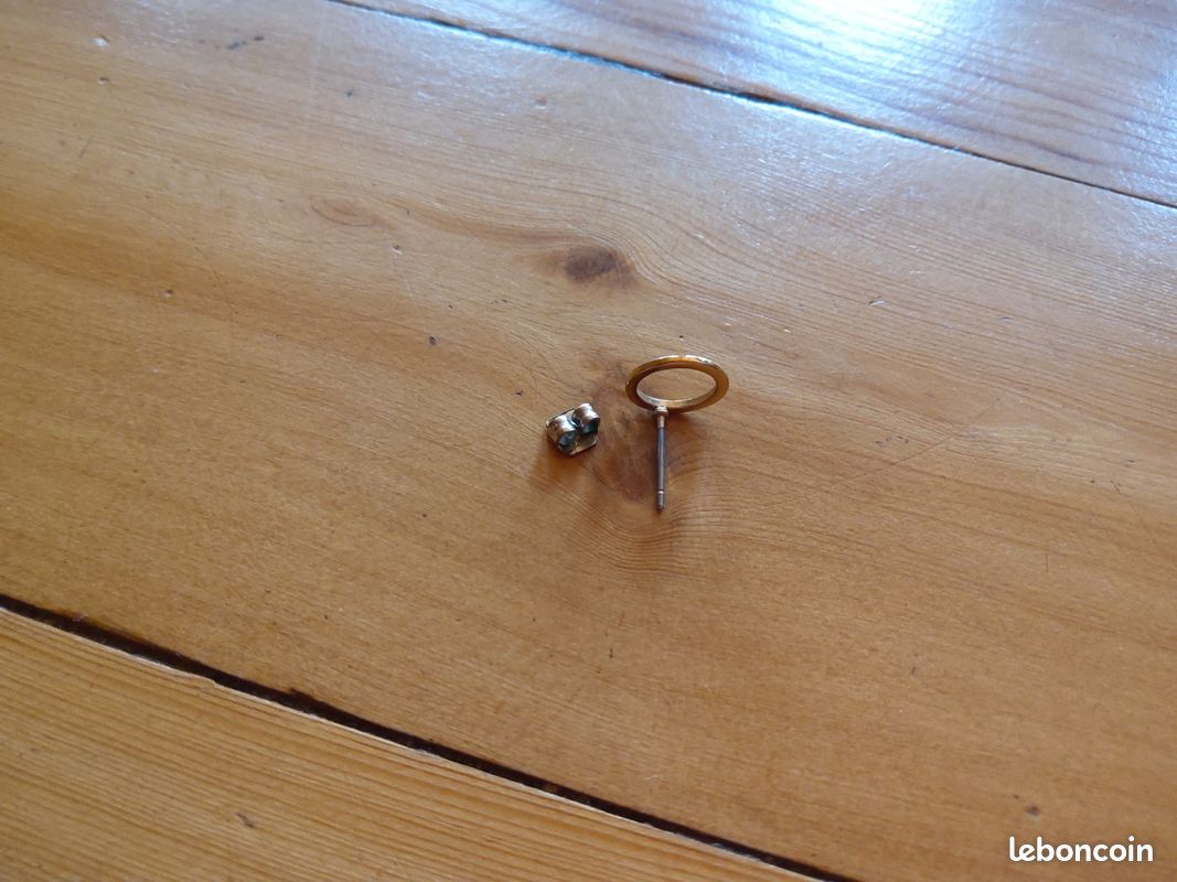 Paire de puces d'oreilles rondes dorées (image 8)