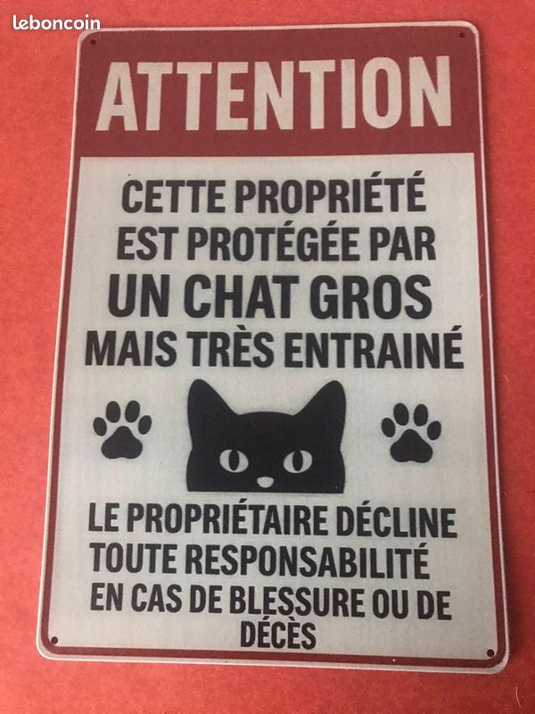 Plaque funéraire granit Forme Chat 35x25cm (grand