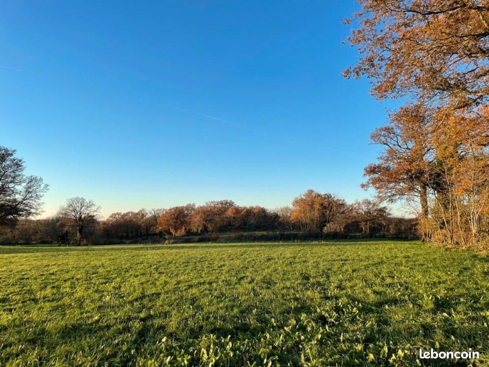Terrain 1800 m² · à Saint-Éloy-de-Gy · 99 000 €