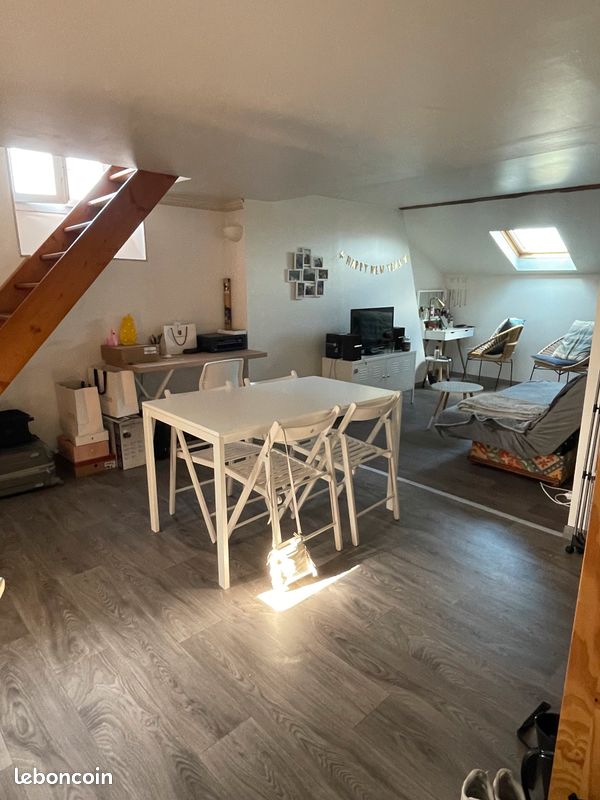 Appartement T1Bis 35m2 meublé avec mezzanine - Limoges 87000 Centre-Hôtel de Ville Emailleurs (image principale 0)
