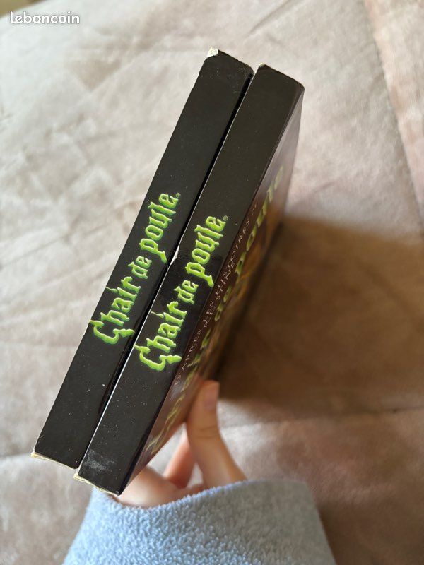 Lot DVD Chair de Poule - Intégrales saisons 1 & 2 📼👻 (image 9)