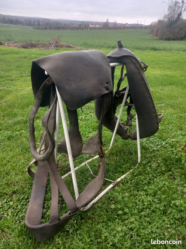 Harnais pour chevaux (image 2)