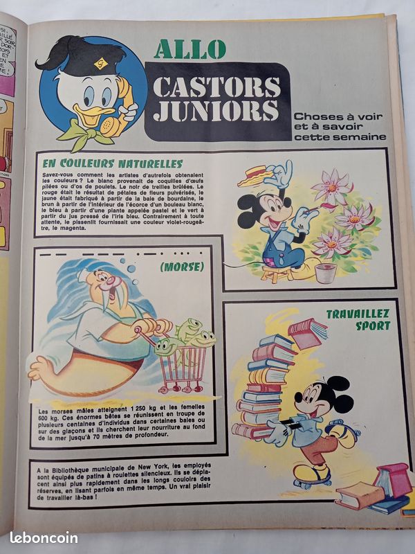 Albums du journal de Mickey 1977 (image 18)