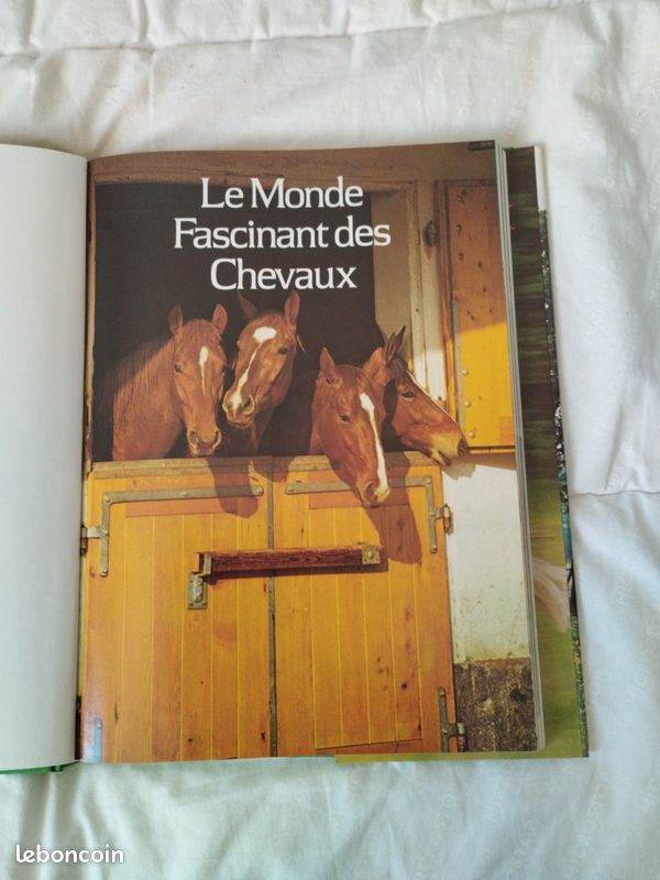 Le monde fascinant des chevaux (image 5)