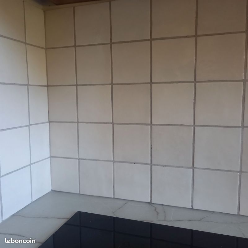 Carreaux blancs 10*10×1cm (image 5)