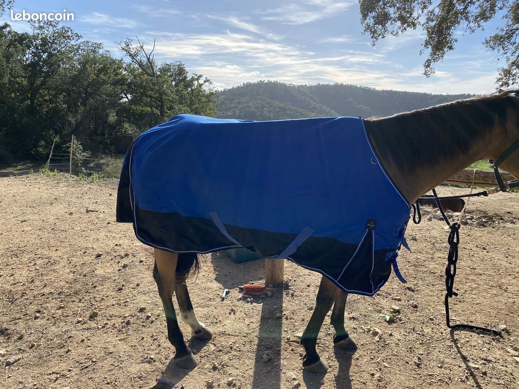 Couverture cheval (image 1)
