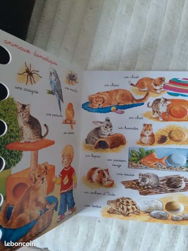 Mini dictionnaire les animaux (image 3)