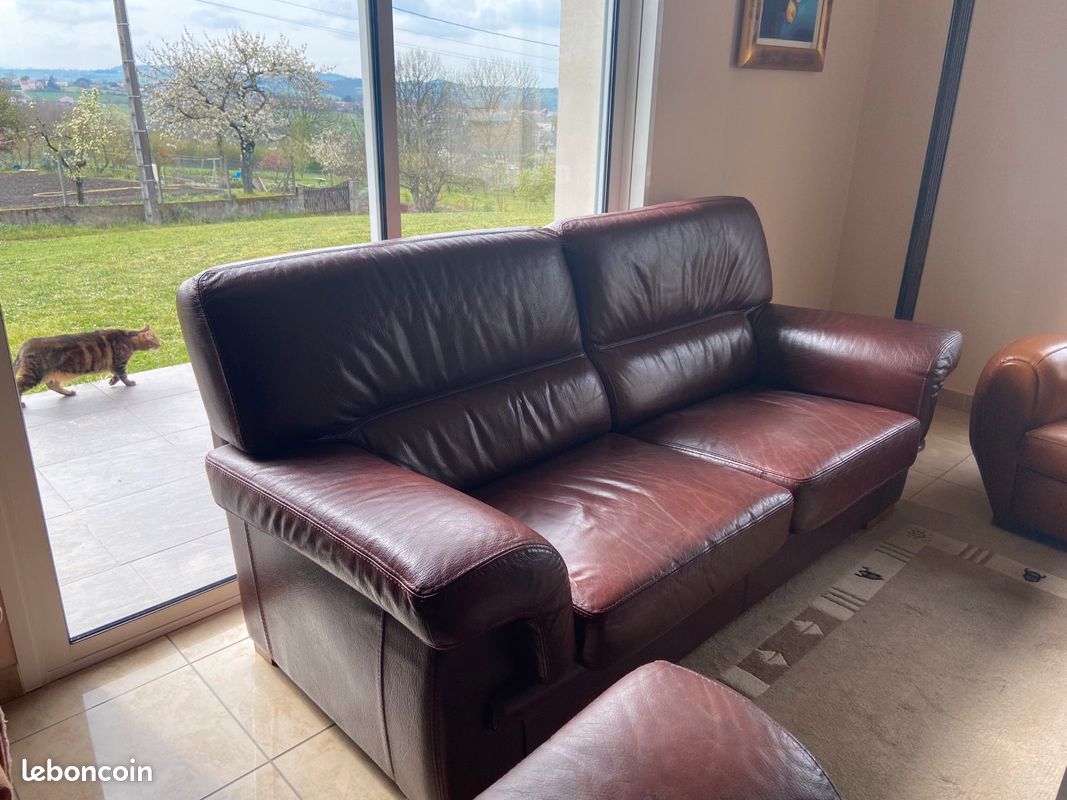 Salon cuir buffle marron (image 2)