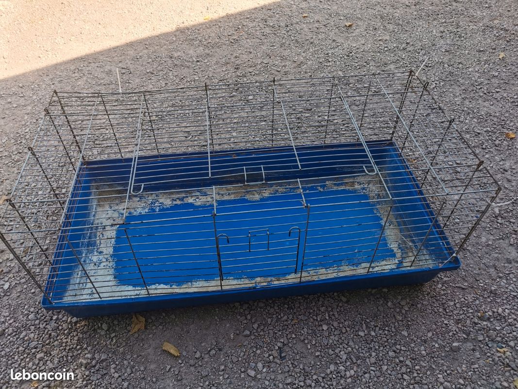 Cage rongeur (image 1)
