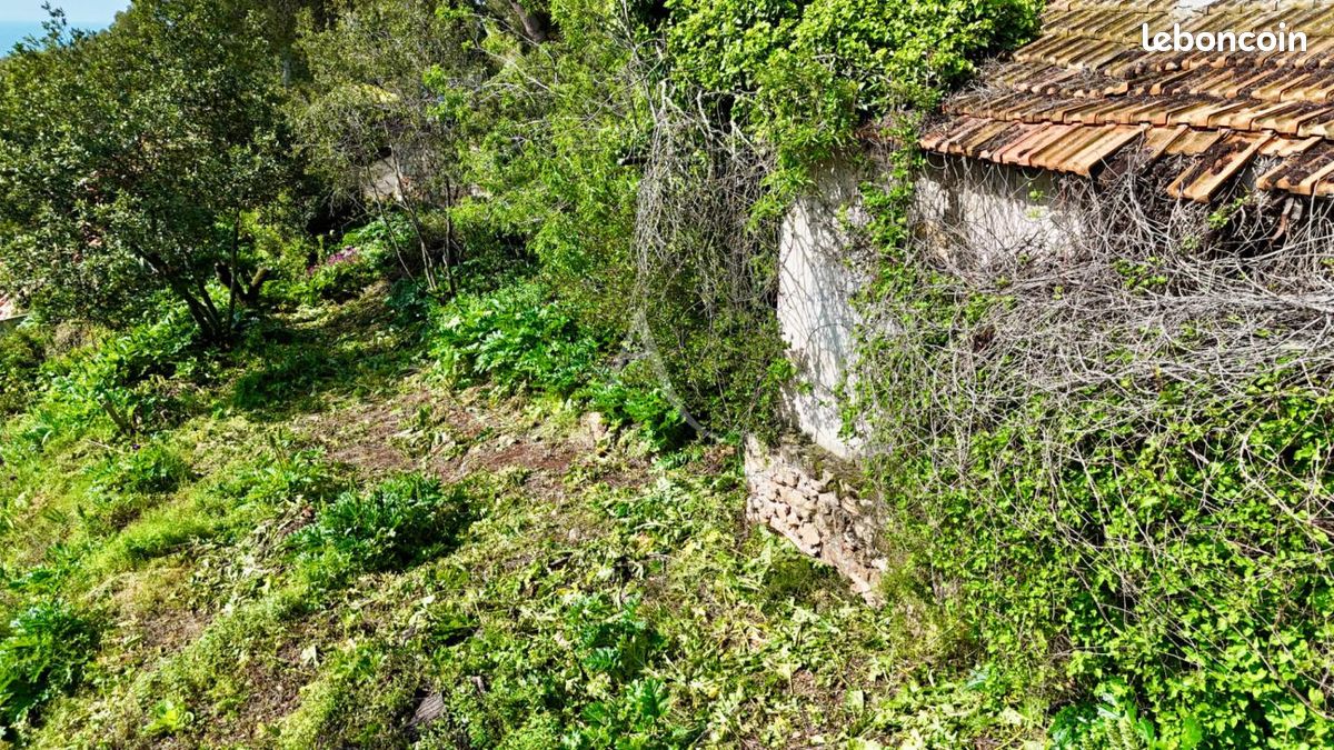 Terrain 1 290 m² Sete (image 5)
