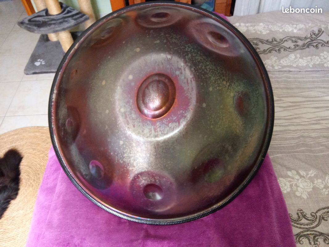 Handpan Celtic Amara Ré 10 + housse (image 5)