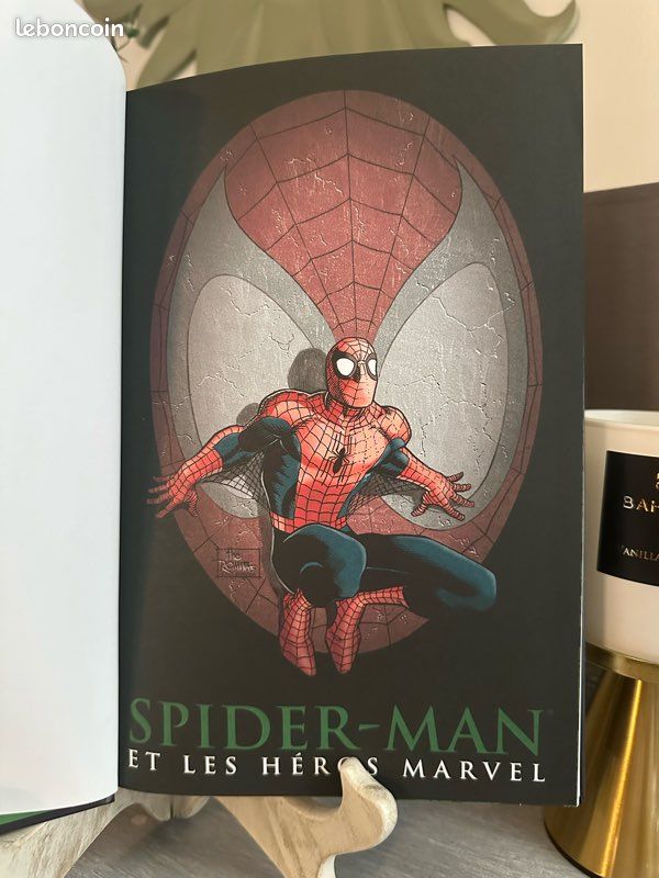 đ„ Spider-Man & Hulk â La colĂšre de Hulk đ„ Marvel â Grand format cartonnĂ© â Superbe Ă©tat đ (image 2)