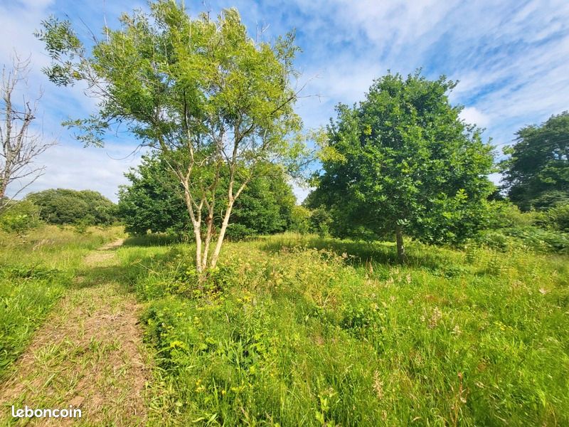 Terrain 14 090 m² Crozon · 75 450 €