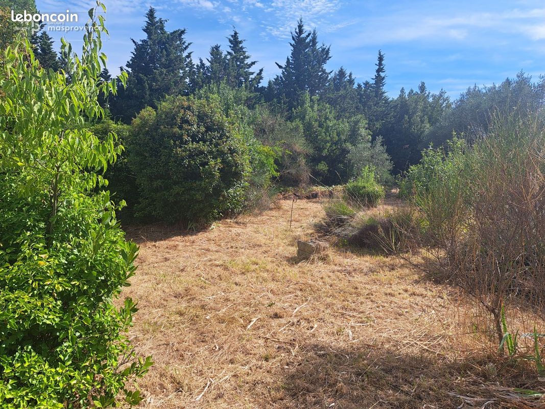 Projet de construction d'une maison 147 m² avec terrain à SAINT-PAUL-TROIS-CHATEAUX (26) (image 6)