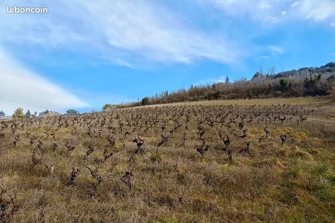 Terrain 8 000 m² Albi
