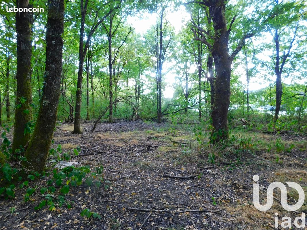Terrain 6210 m² · à Salbris · 6 210 m² · 105 000 €