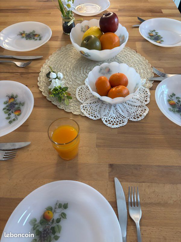 Assiette à soupe Arcopal Domitille verre bicolore (20 cm