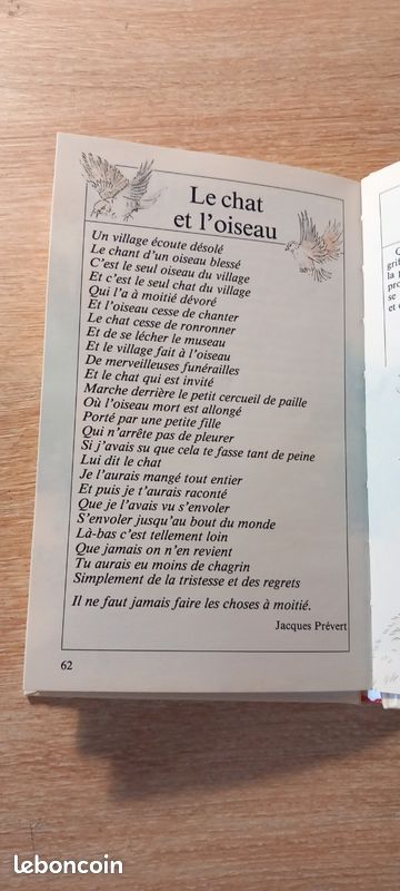 Le livre de mon chat (image 4)