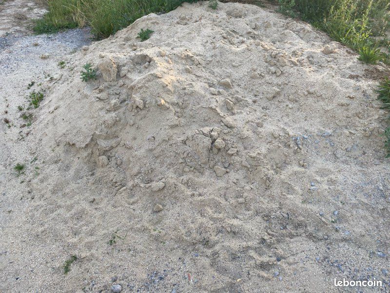 Sable (image 1)