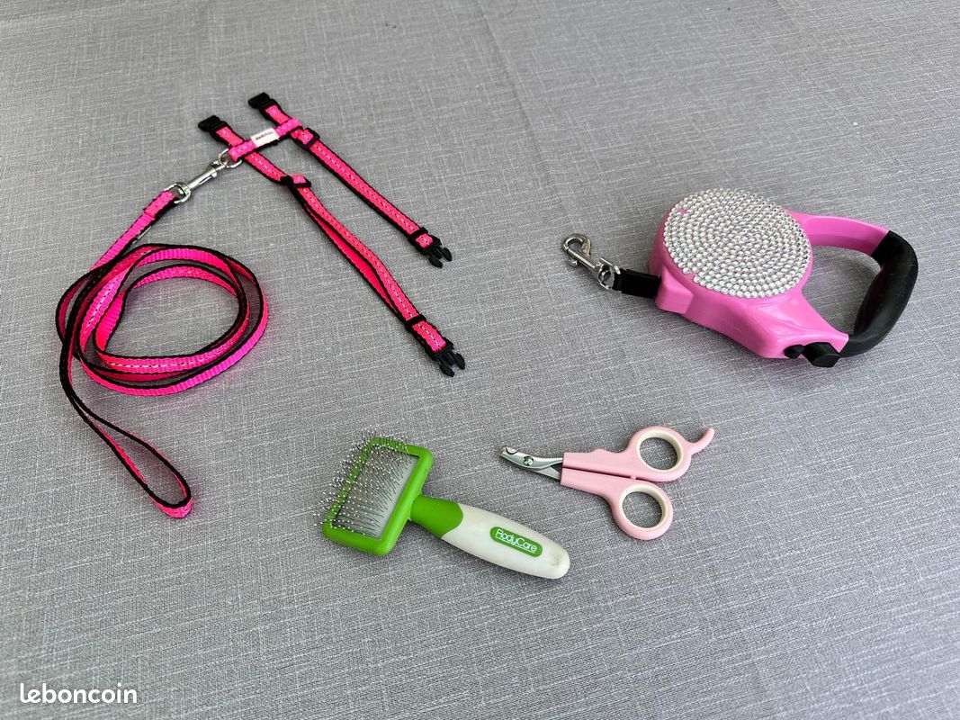 Cage transport lapin +harnais +laisse +brosse +coupe-ongle (image 3)